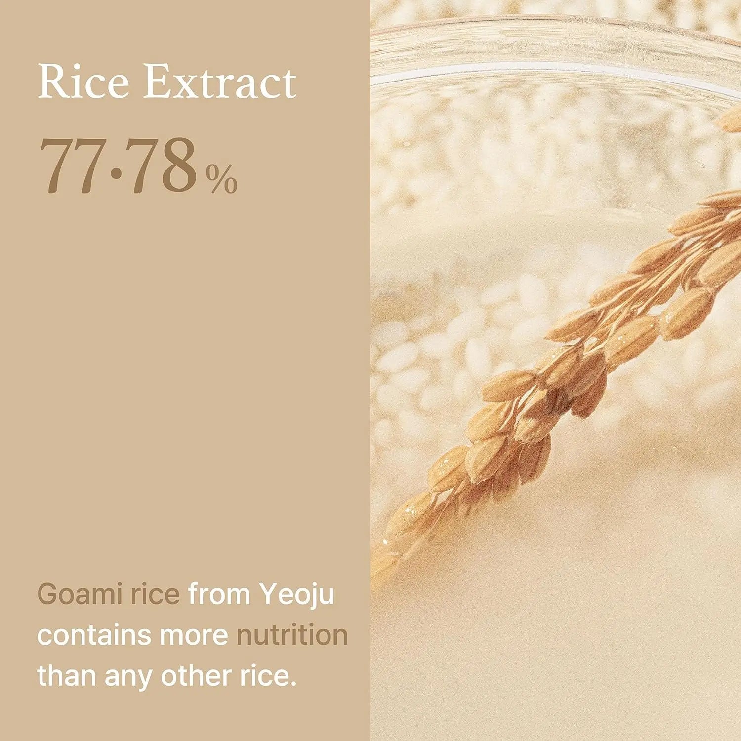 Rice Toner Trio Set for Brightening, Hydration & Glow