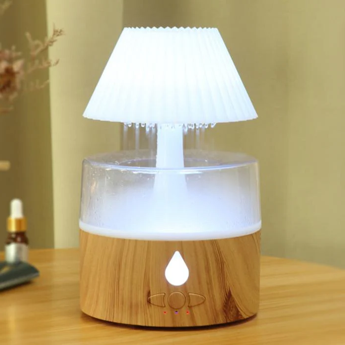 Rain Cloud Humidifier & Diffuser, Cool Mist, Night Light, USB, Auto Off
